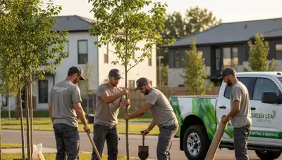 Arborist planting new tree in Dayton, OH yard for Chop Chop Tree professional tree planting service