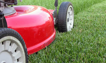 Lawn Care in Dayton OH Lawn Care Services in Dayton OH Quality Lawn Care in Dayton OH